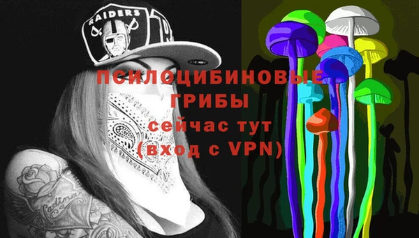 синтетический гашиш Алексин