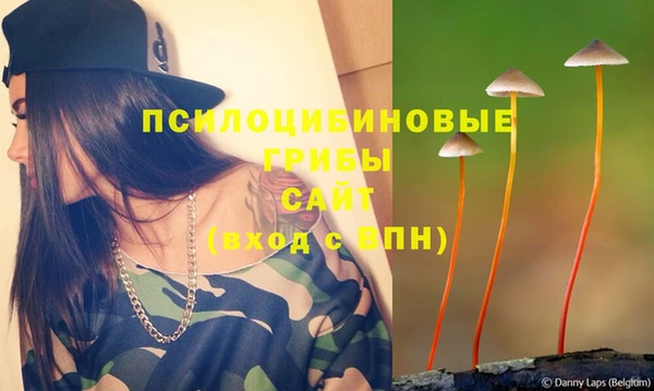 гидропоника Алзамай