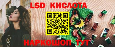 СК Краснознаменск