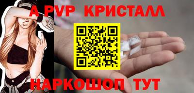 СК Краснознаменск