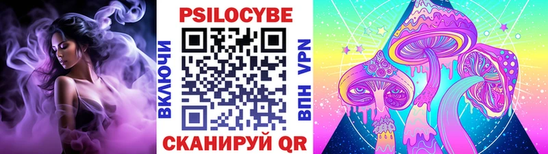 Галлюциногенные грибы GOLDEN TEACHER где купить наркоту Тосно