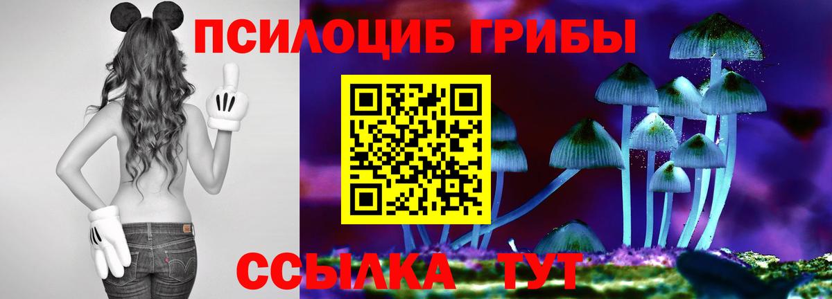 Тосно  Псилоцибиновые грибы MAGIC MUSHROOMS  Вход с VPN 